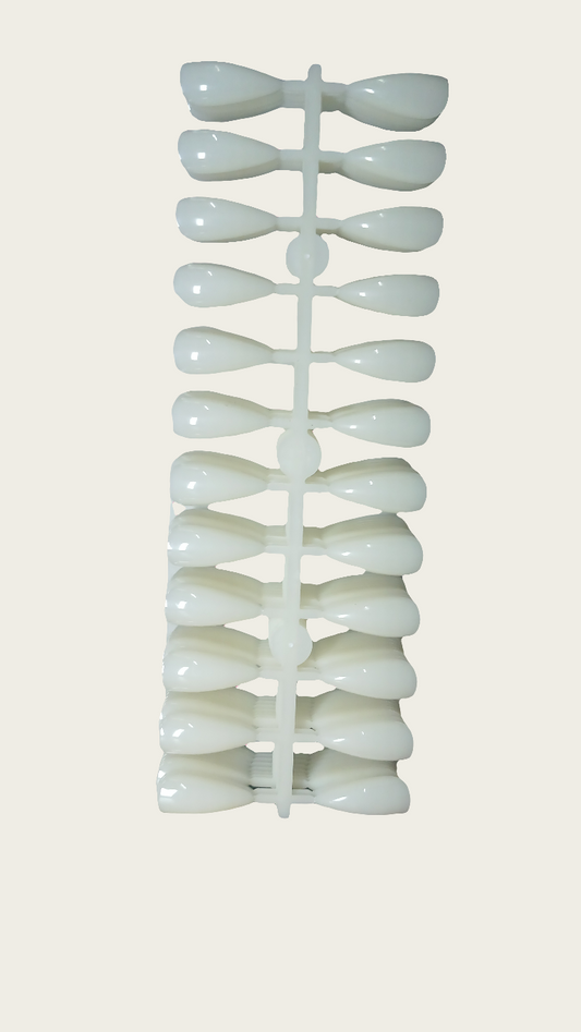 Tip Muestrario Libro (Gde) - 240pz